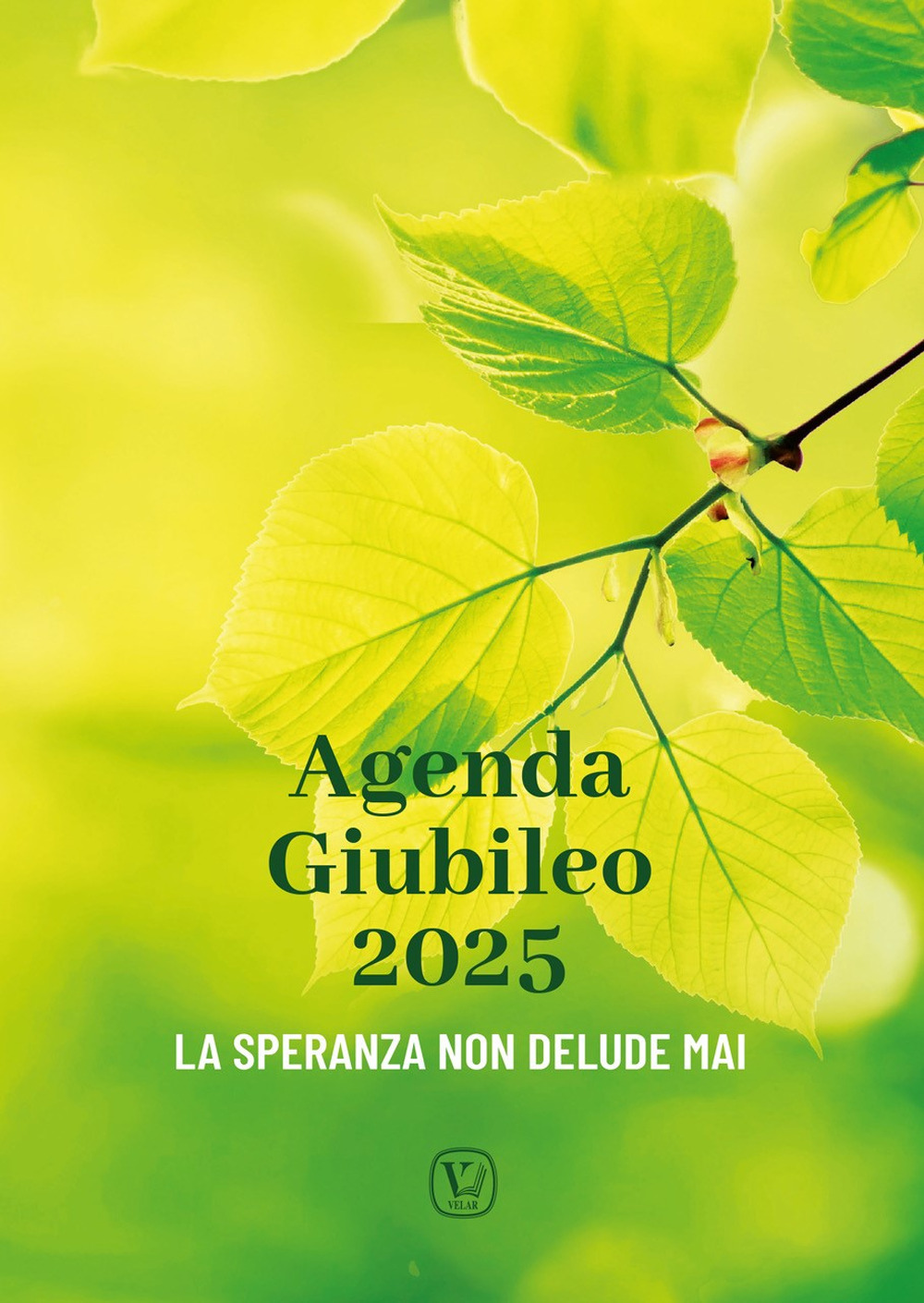 Agenda Giubileo 2025. La speranza non delude mai