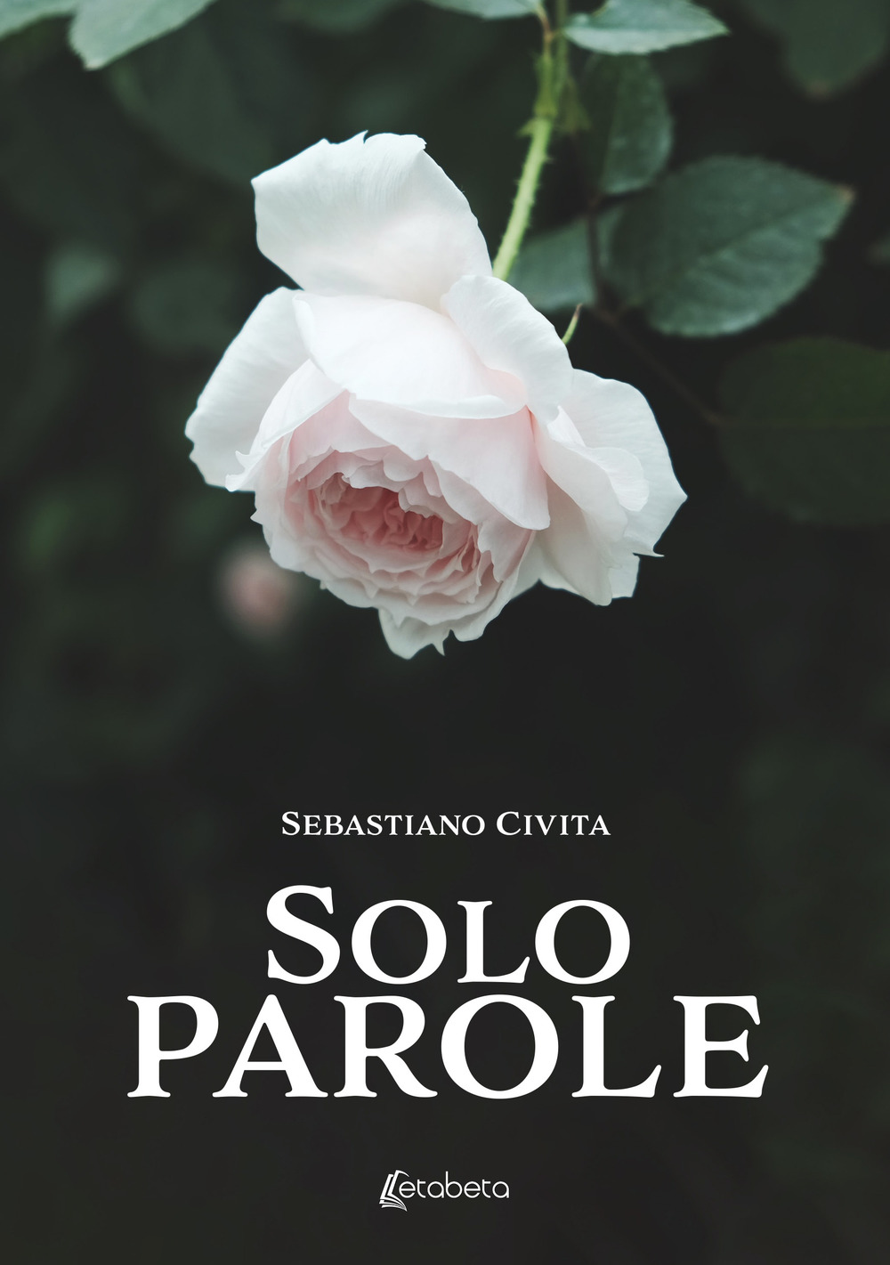 Solo parole