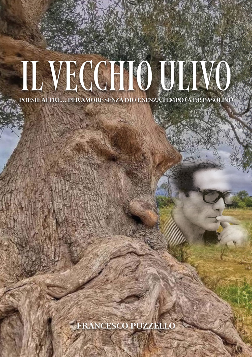 Il vecchio ulivo. Poesie altre... per amore senza Dio e senza tempo (a P.P. Pasolini)