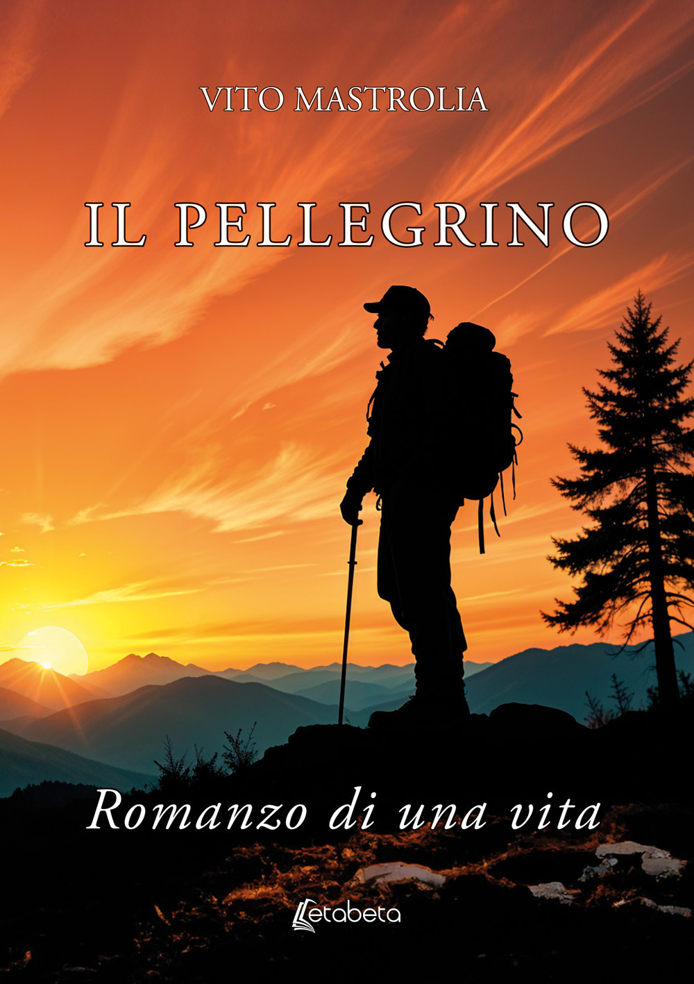 Il pellegrino. Romanzo di una vita