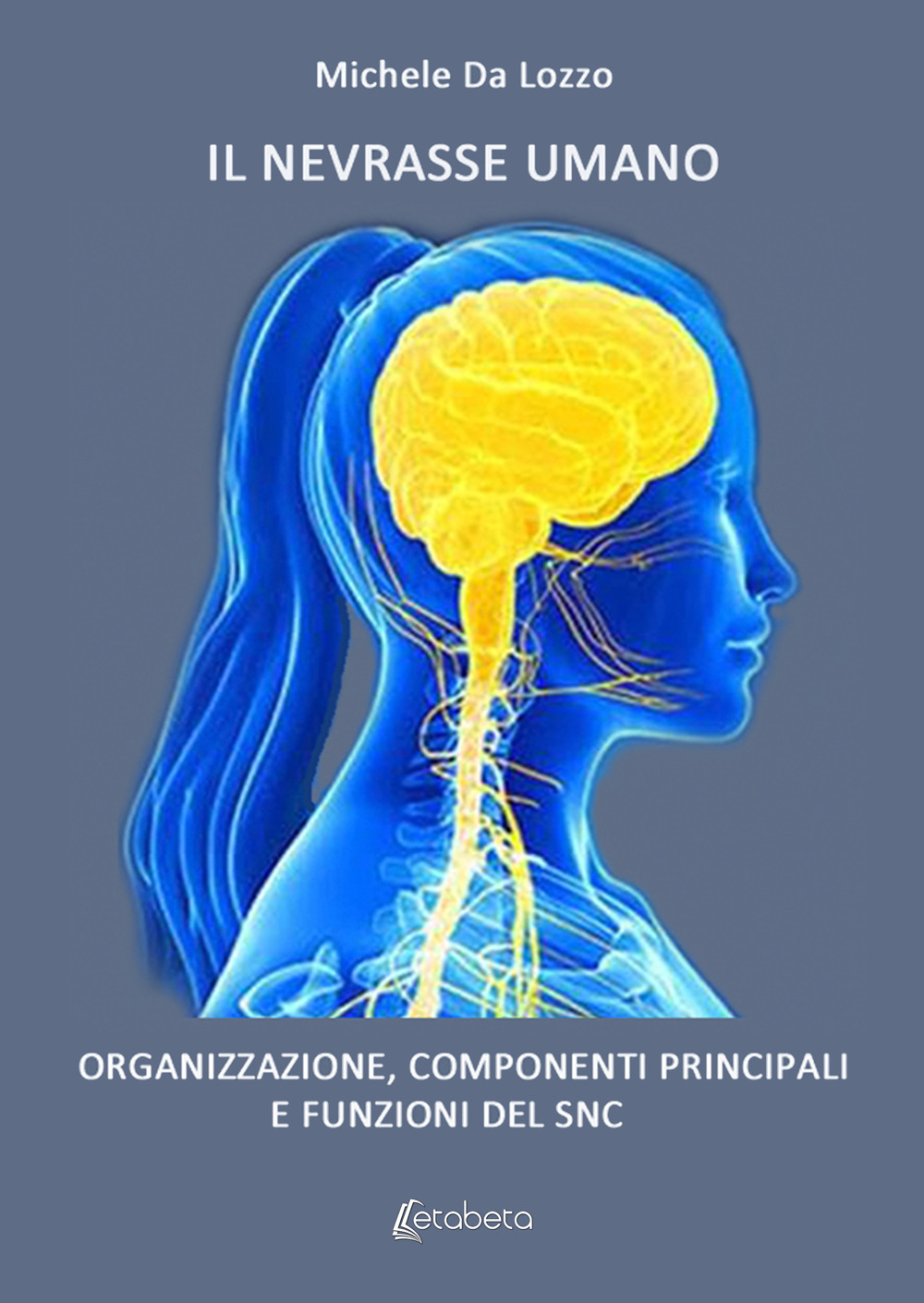 Il nevrasse umano. Organizzazione, componenti principali e funzioni del SNC