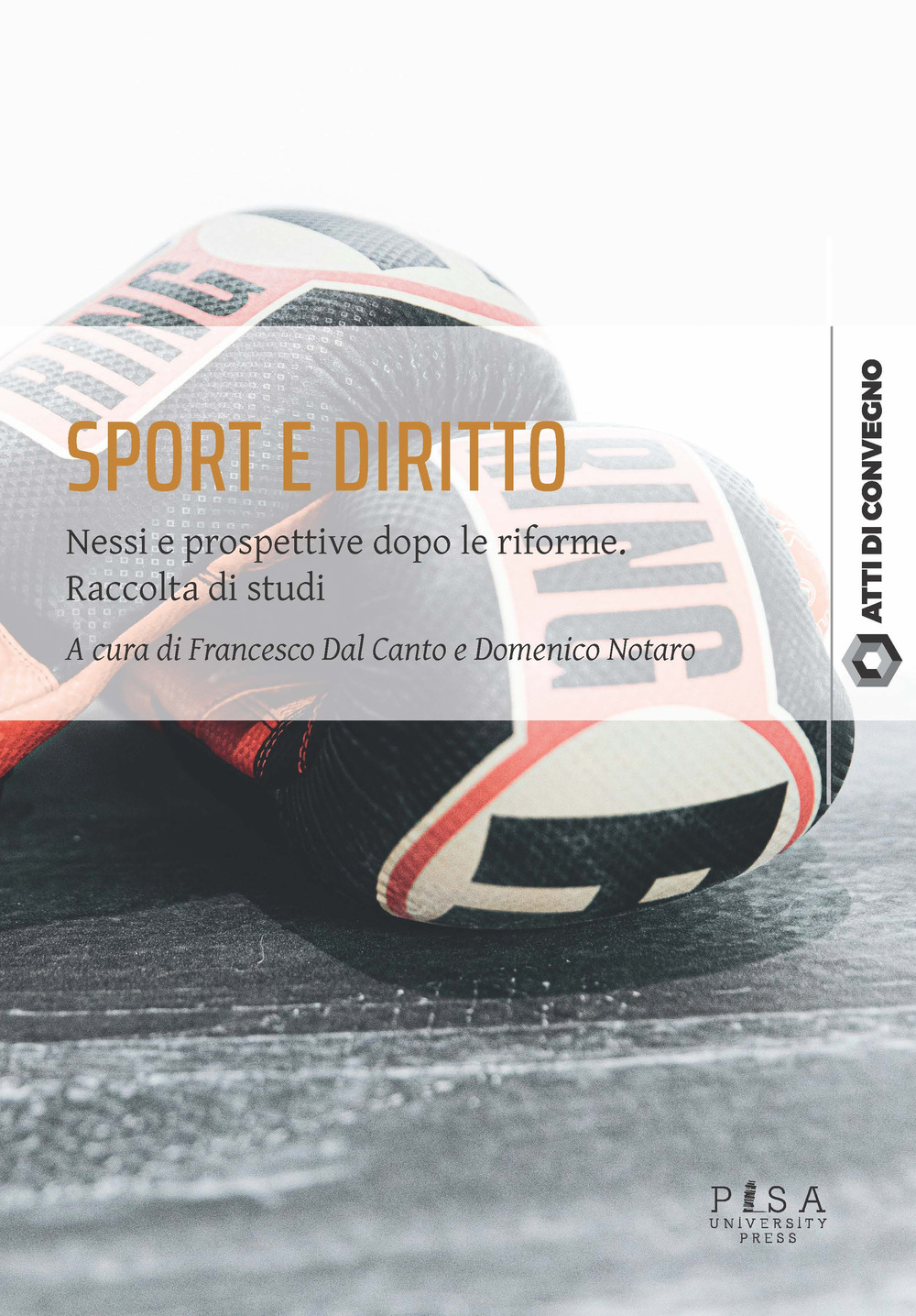 Sport e diritto. Nessi e prospettive dopo le riforme. Raccolta di studi