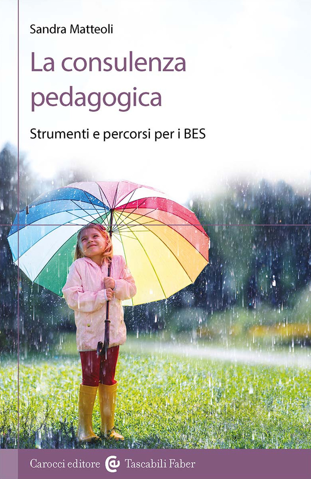 La consulenza pedagogica. Strumenti e percorsi per i BES