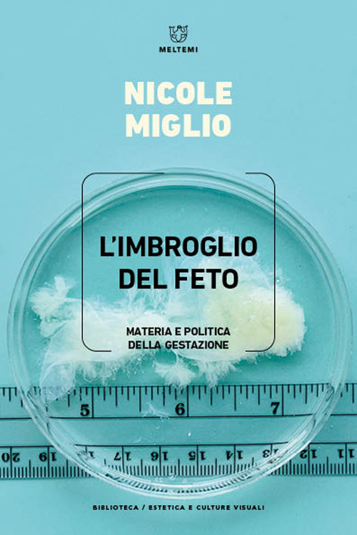 L'imbroglio del feto. Materia e politica della gestazione