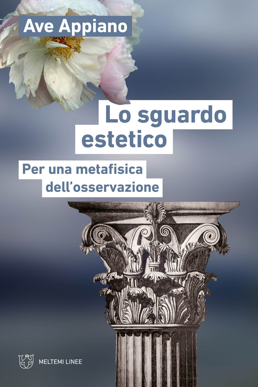 Lo sguardo estetico. Per una metafisica dell'osservazione