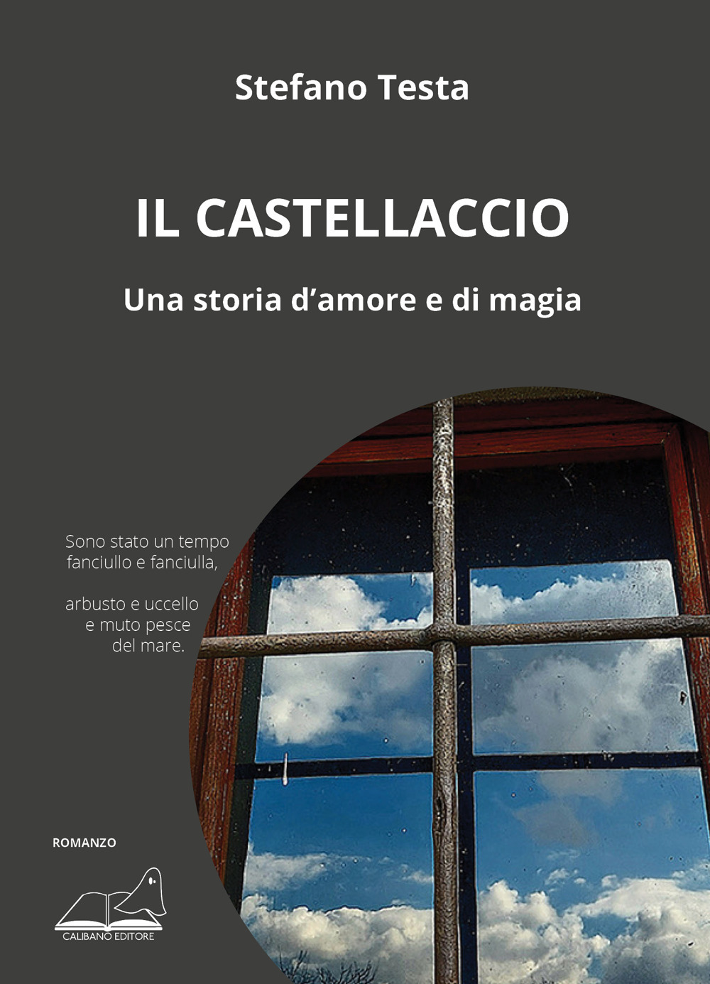 Il castellaccio. Una storia d'amore e di magia