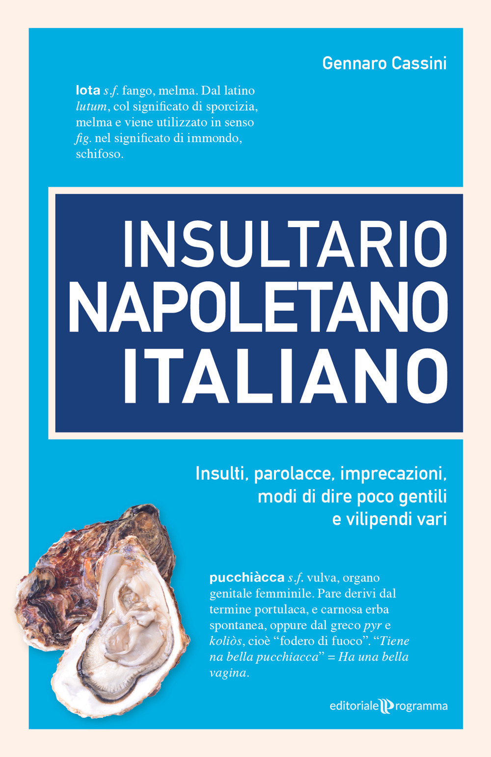 Insultario napoletano italiano. Insulti, parolacce, imprecazioni, modi di dire poco gentili e vilipendi vari