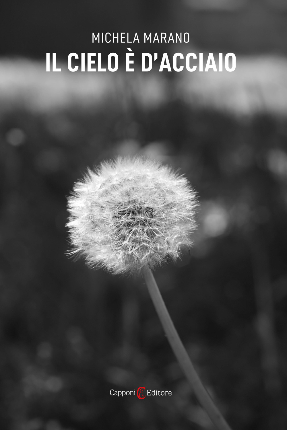 Il cielo è d'acciaio