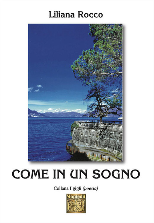 Come in un sogno