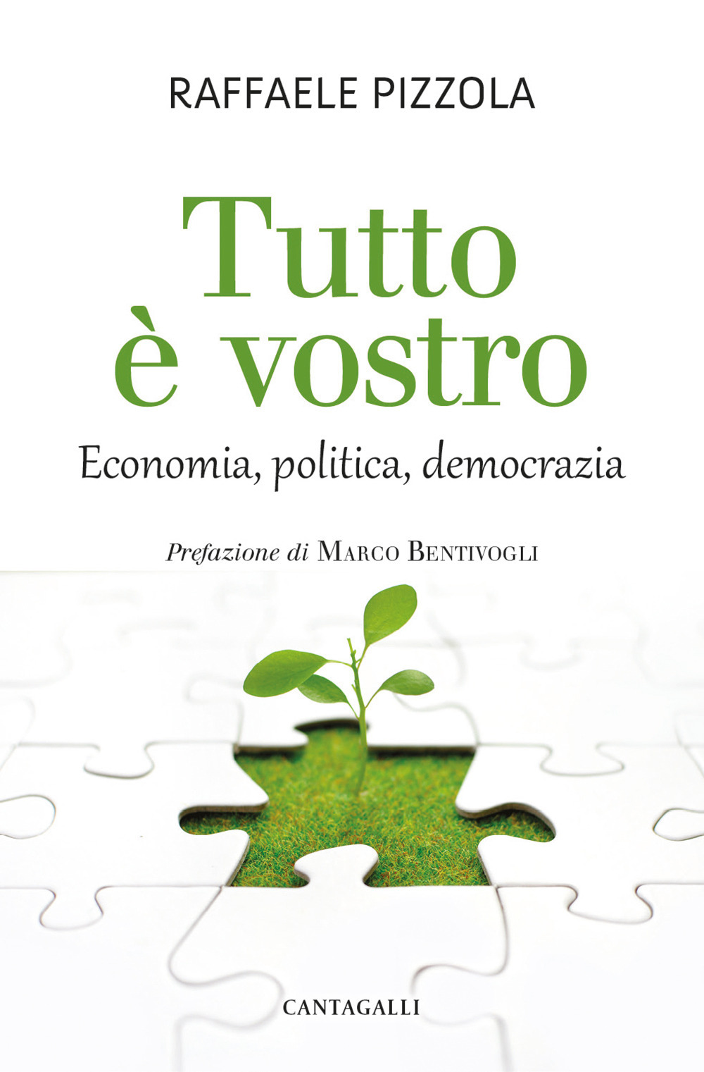 Tutto è vostro. Economia, politica, democrazia