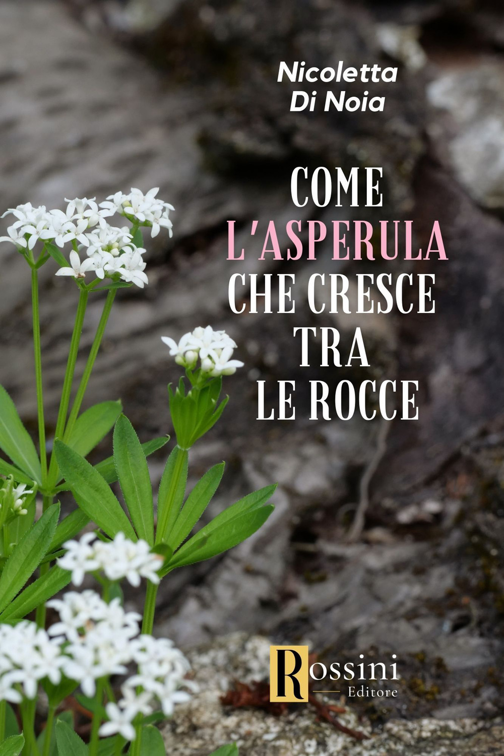 Come l'asperula che cresce tra le rocce