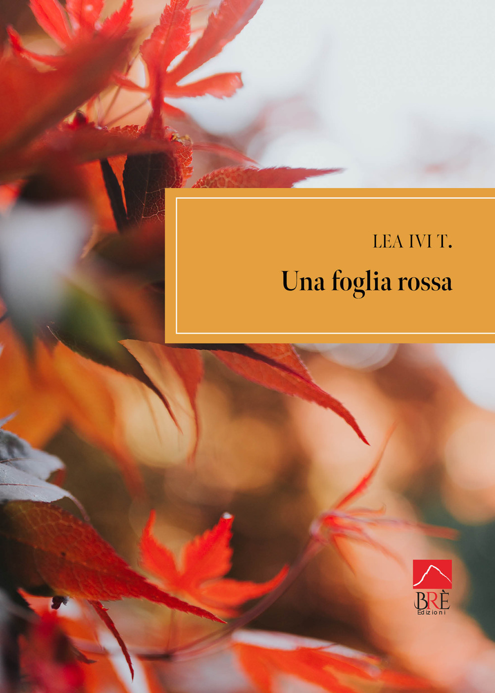 Una foglia rossa