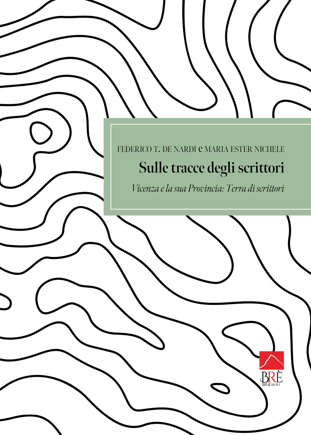 Sulle tracce degli scrittori. Vicenza e la sua provincia. Terra di scrittori: Guida turistico - letteraria, tra verità e leggenda, con foto e indirizzi dei luoghi. Ediz. illustrata