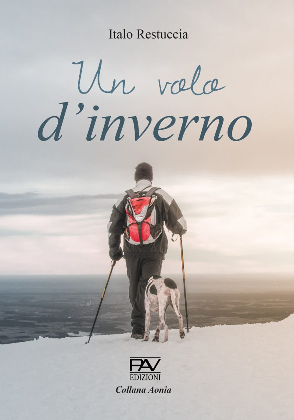 Un volo d'inverno