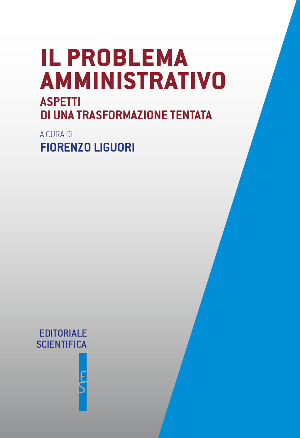 Il problema amministrativo. Aspetti di una trasformazione tentata