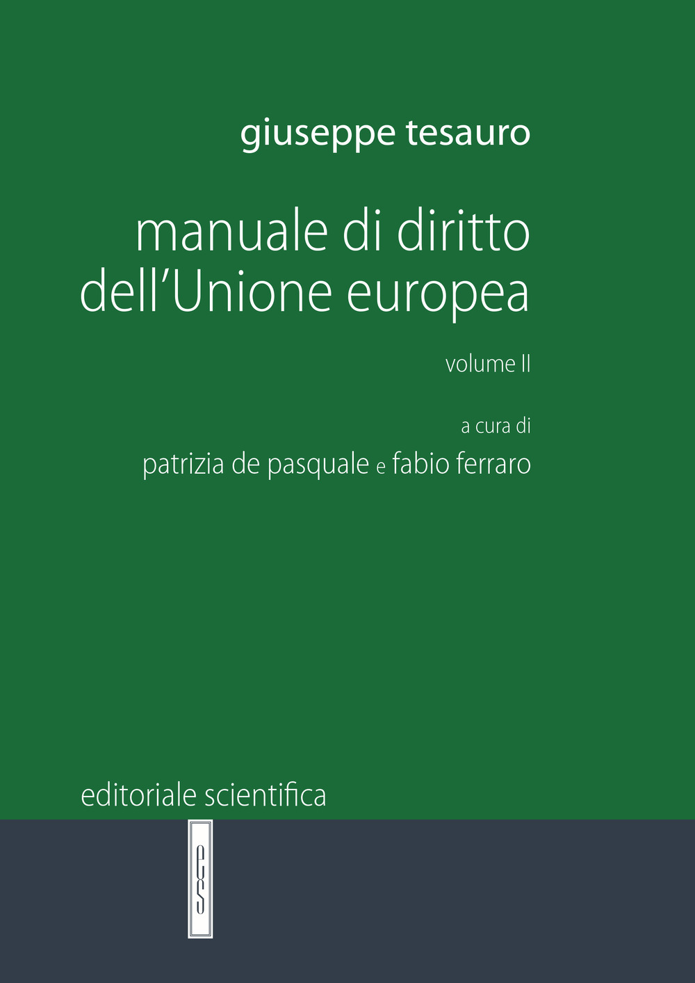 Manuale di diritto dell'Unione Europea. Vol. 2