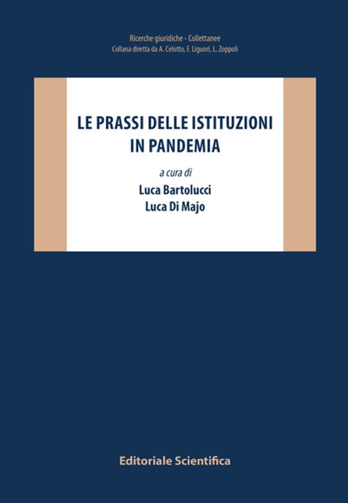 Le prassi delle istituzioni in pandemia