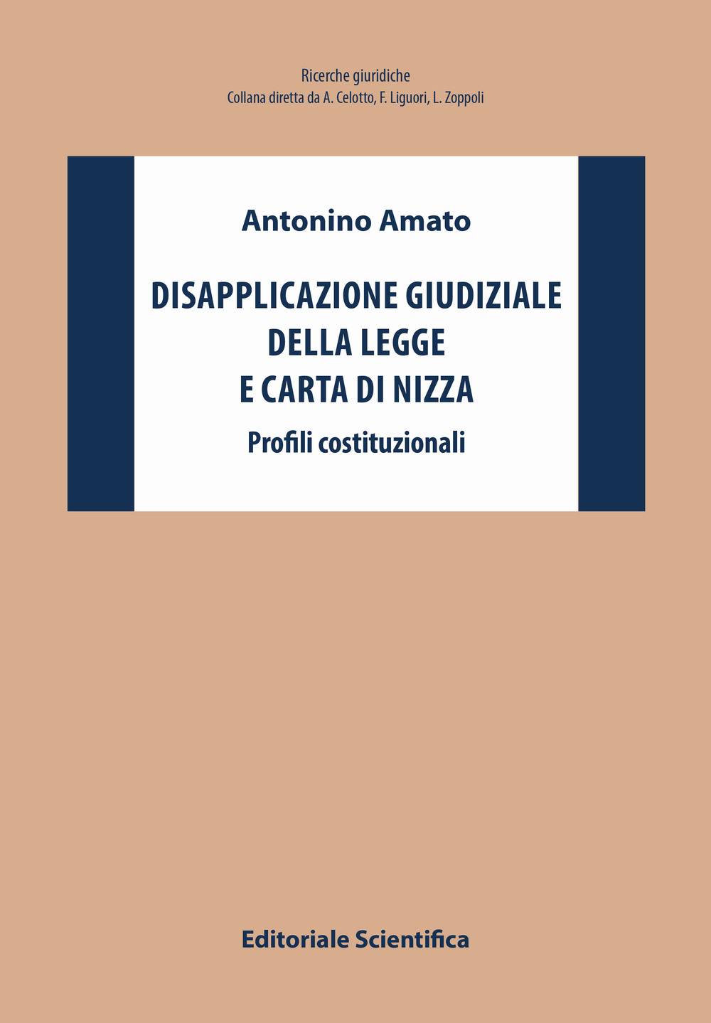 Disapplicazione giudiziale della legge e Carta di Nizza. Profili costituzionali