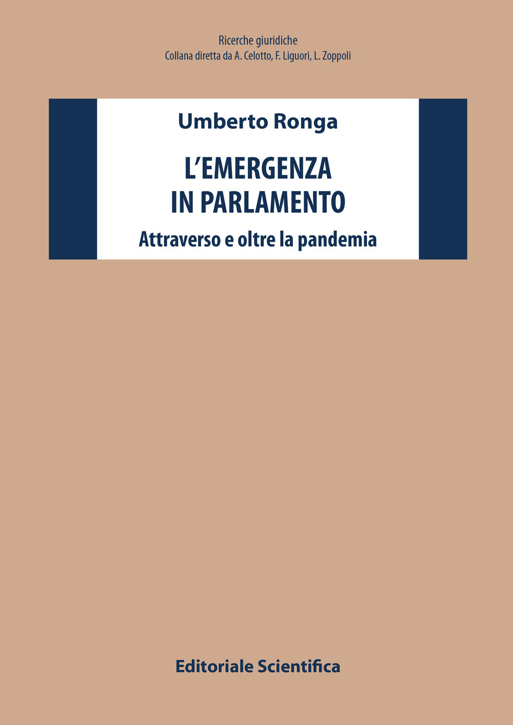 L'emergenza in parlamento. Attraverso e oltre la pandemia