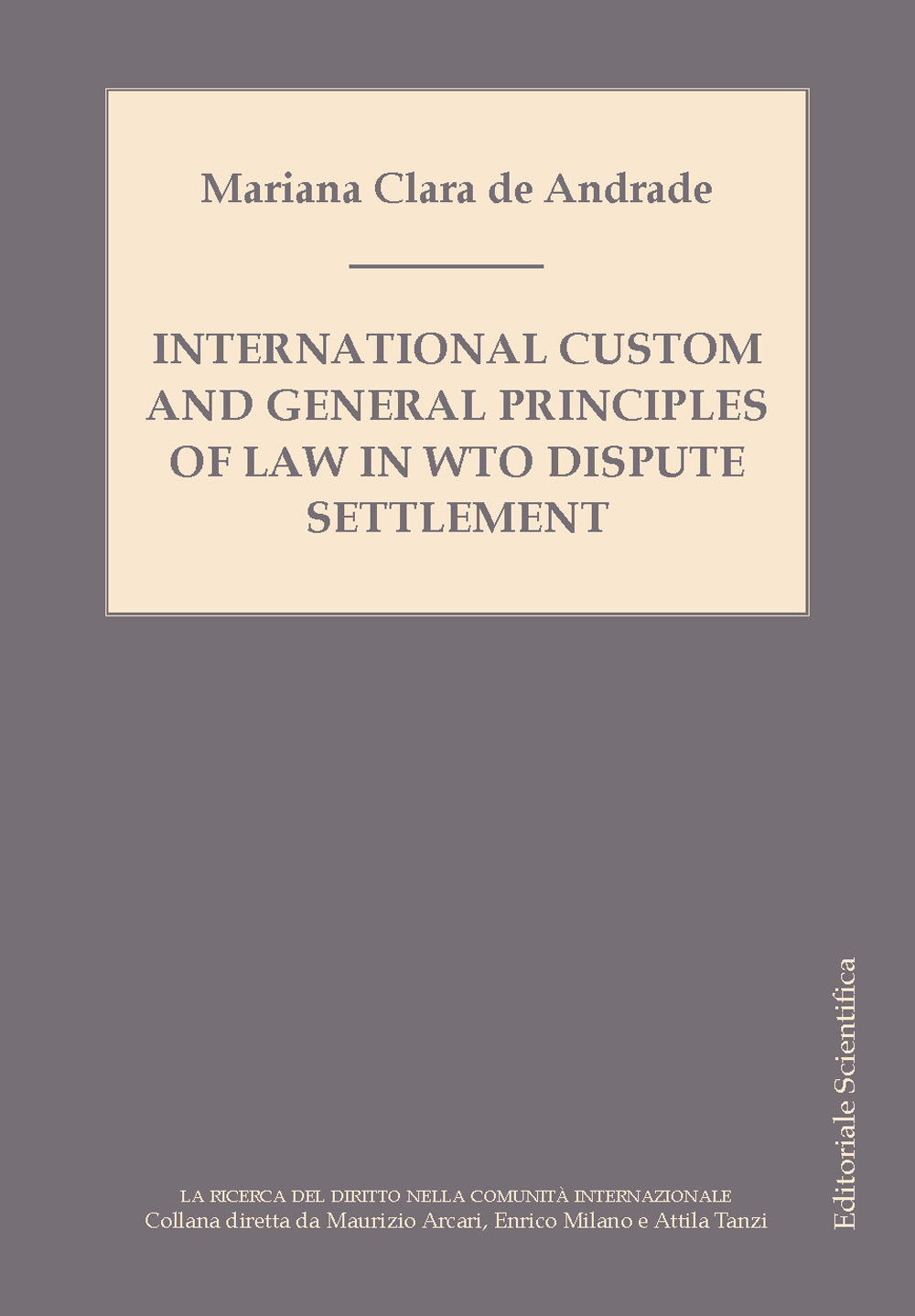 International custom and general principles of law in WTO disputes settlement