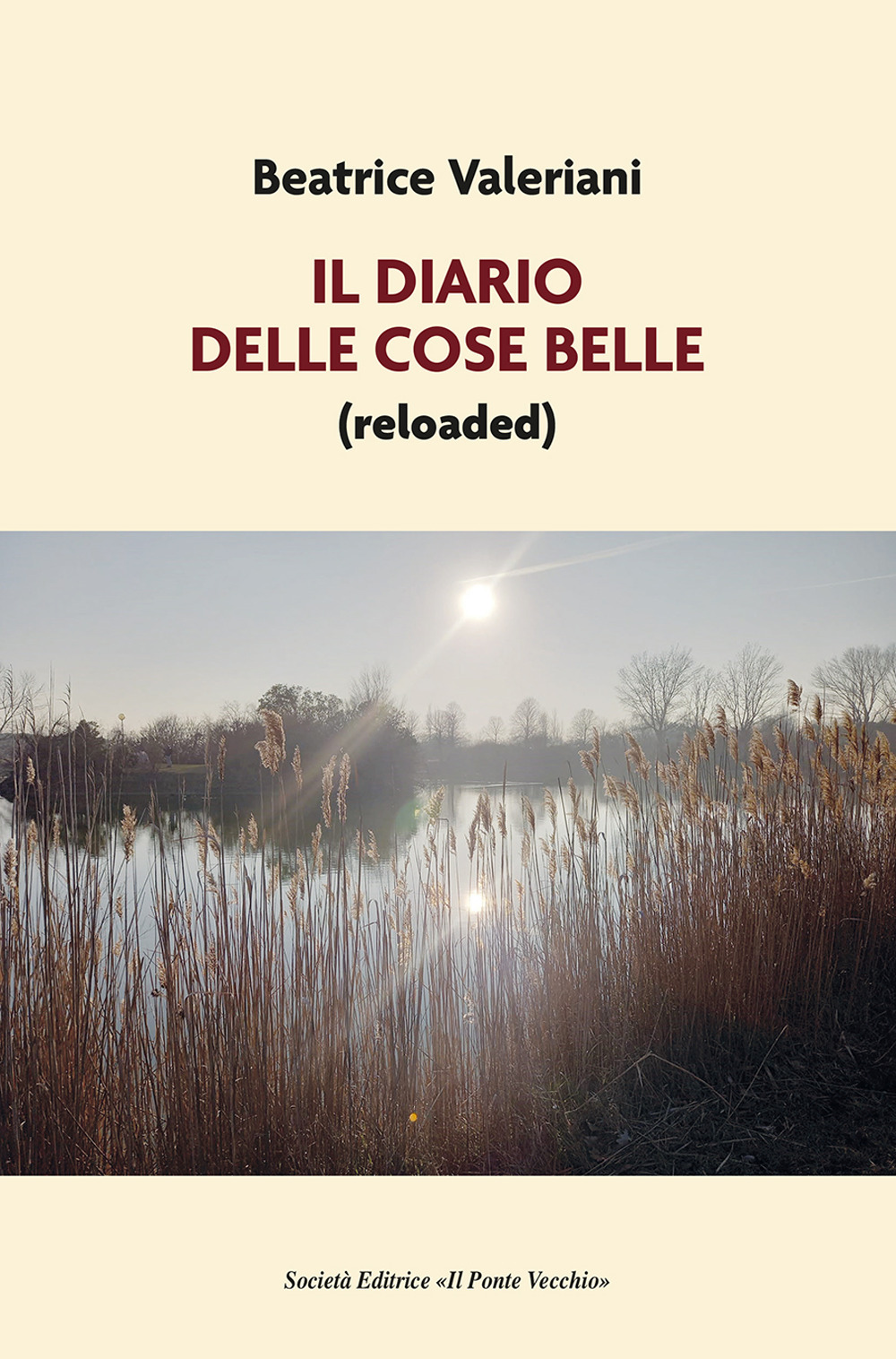 Il diario delle cose belle (reloaded)