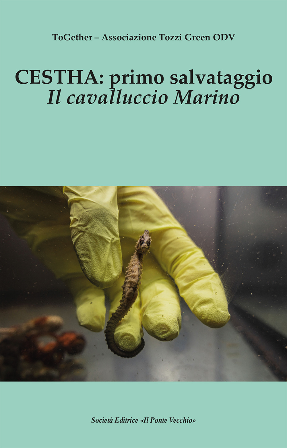 Cestha: primo salvataggio. Il cavalluccio marino