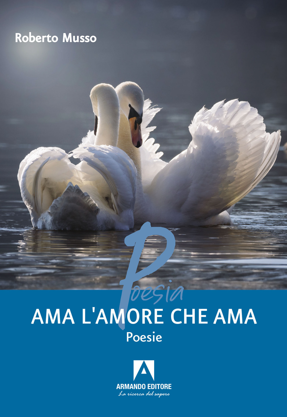 Ama l'amore che ama