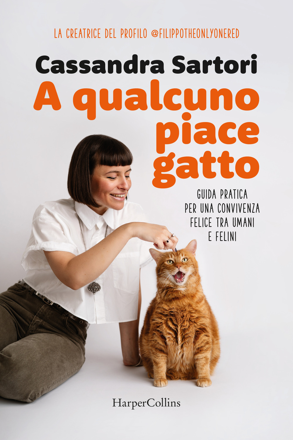 A qualcuno piace gatto. Guida pratica per una convivenza felice tra umani e felini