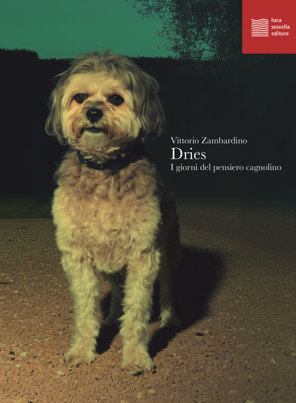 Dries. I giorni del pensiero cagnolino