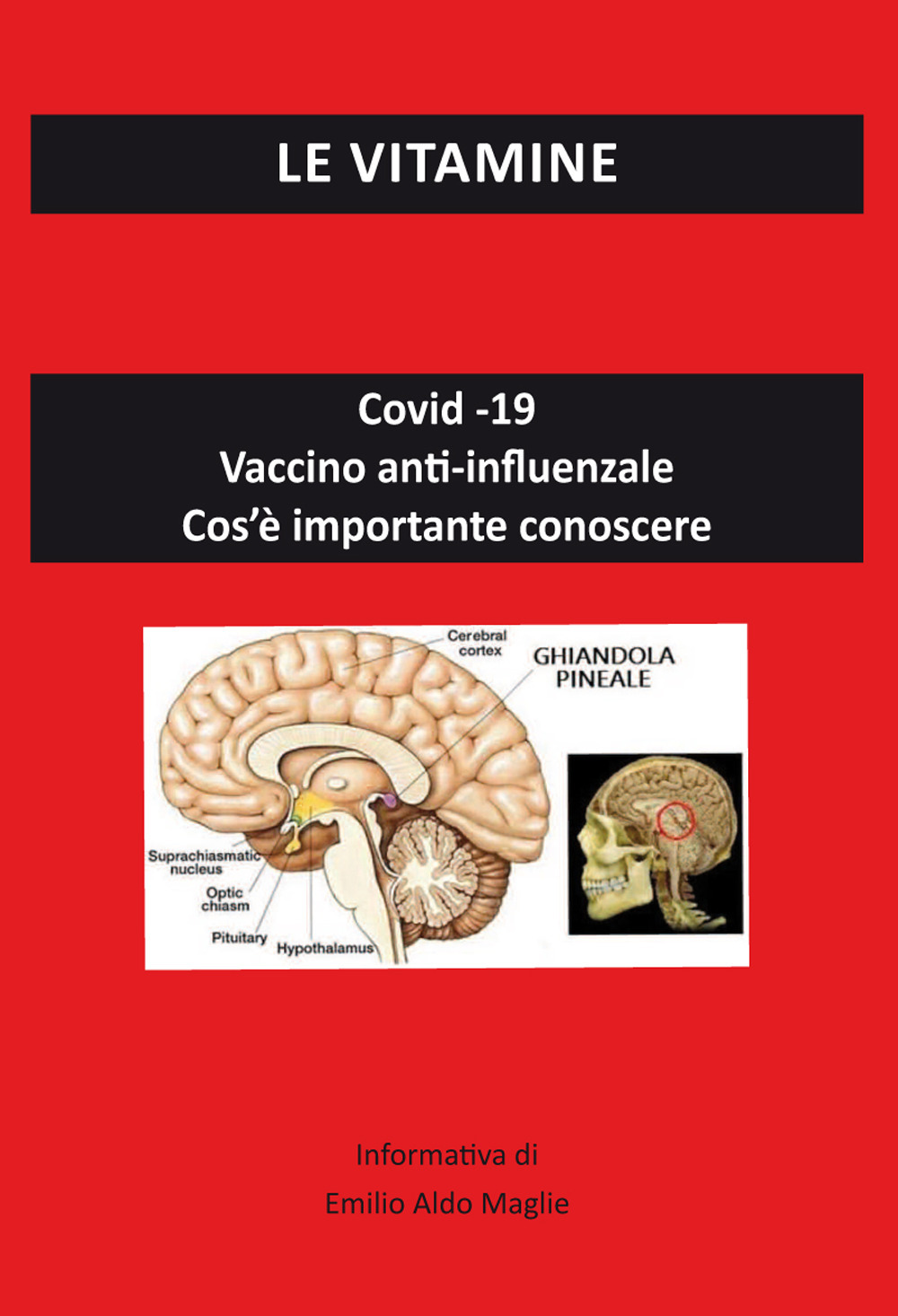 Le vitamine. Covid-19. Vaccino anti-influenzale. Cos'è importante conoscere