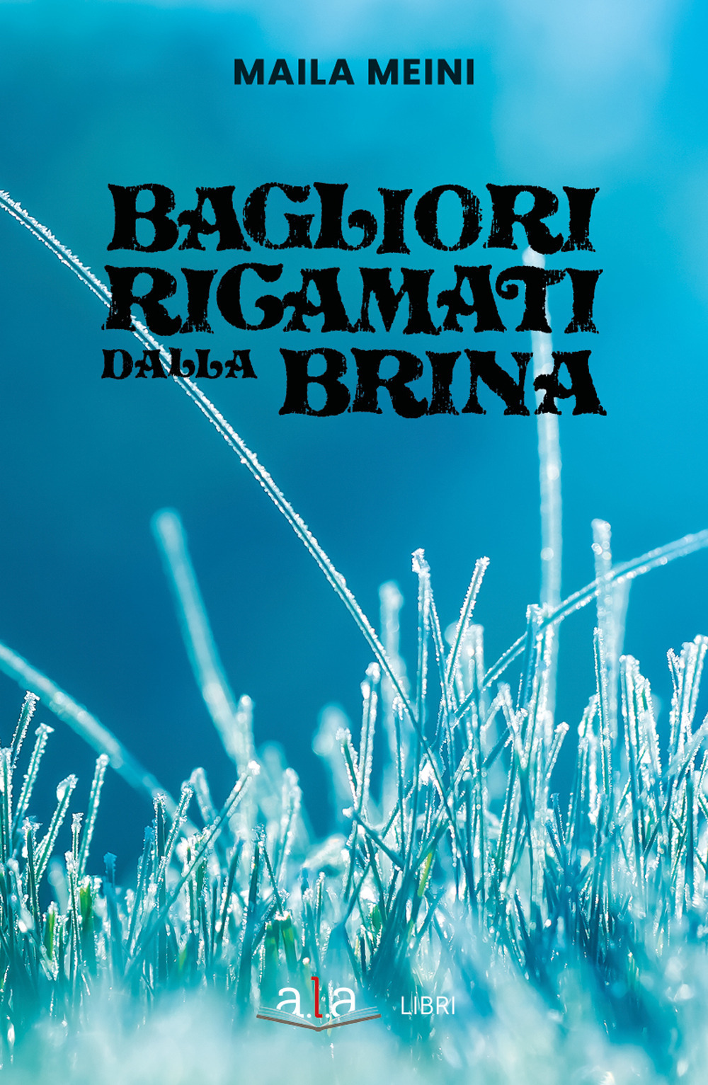 Bagliori ricamati dalla brina