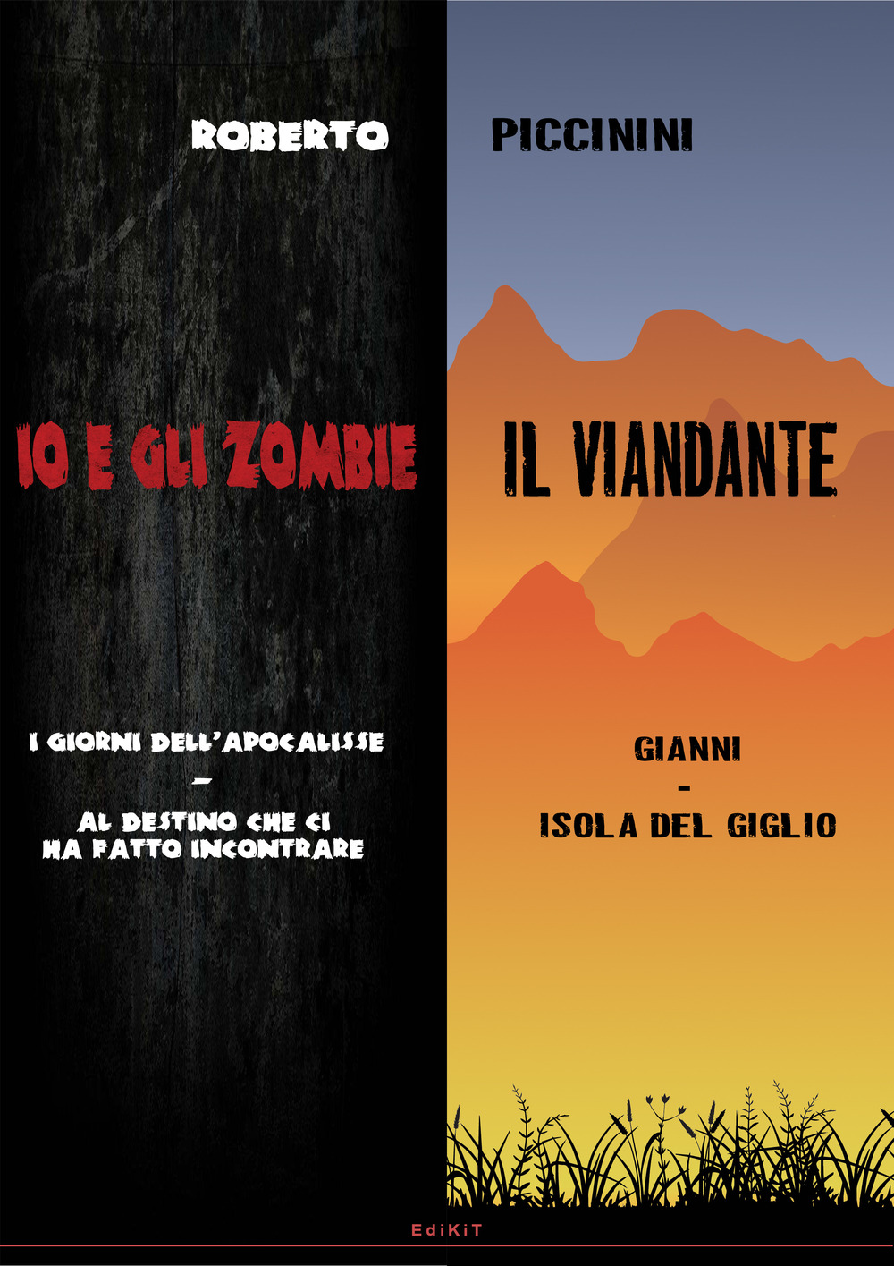 Io e gli zombie-Il viandante