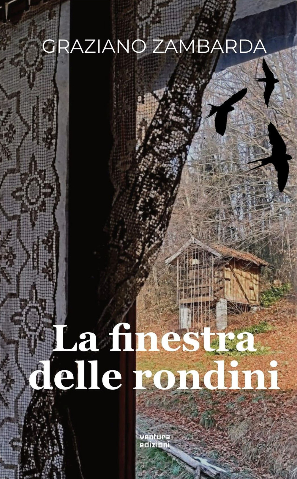 La finestra delle rondini