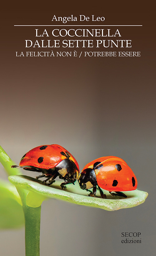 La coccinella dalle sette punte. La felicità non è. La felicità potrebbe essere