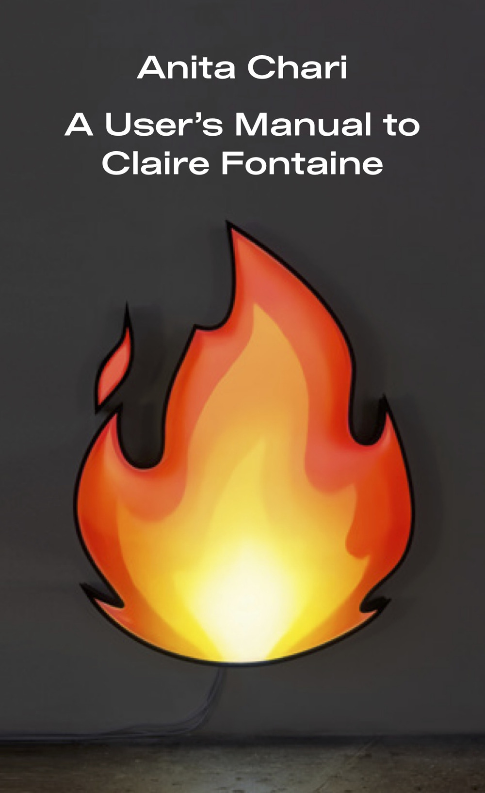 A User's Manual to Claire Fontaine