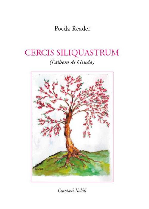Cercis siliquastrum (l'albero di Giuda)