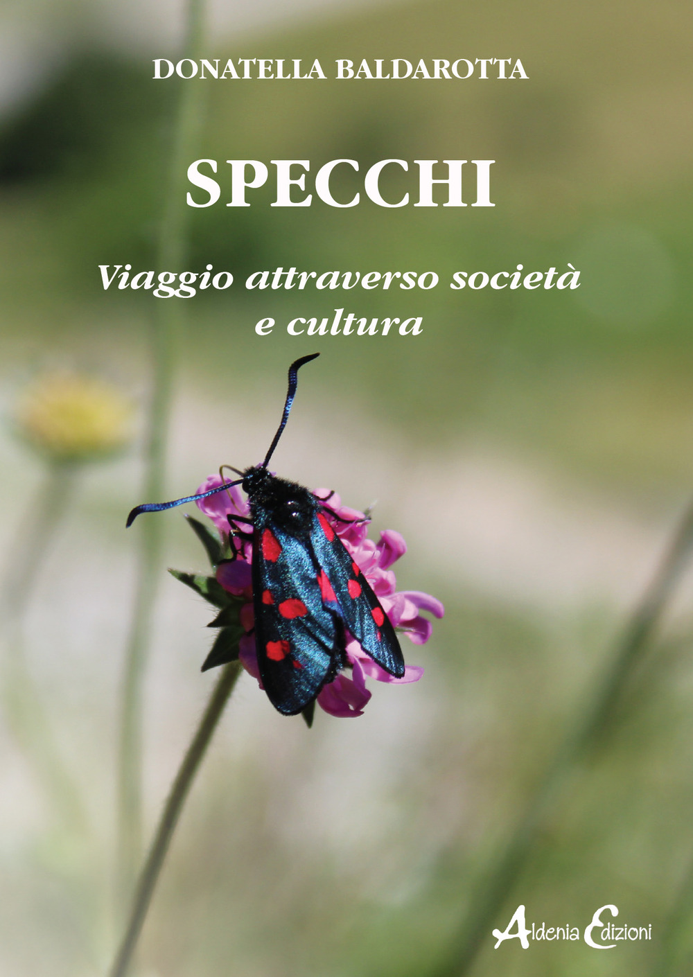 Specchi. Viaggio attraverso società e cultura