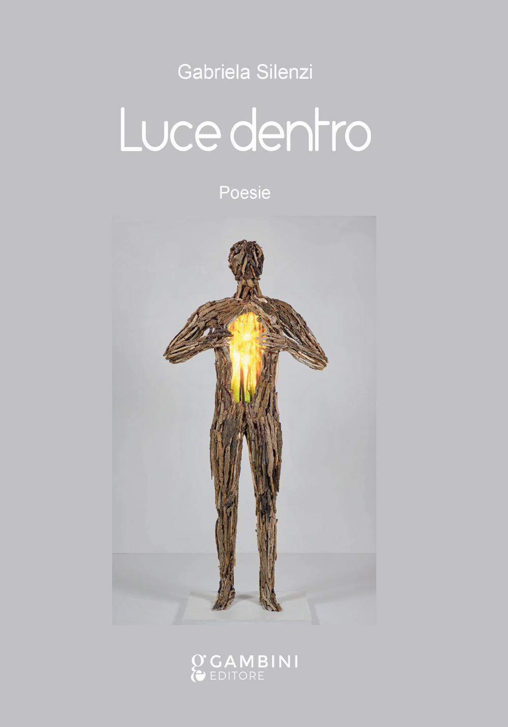 Luce dentro. Poesie