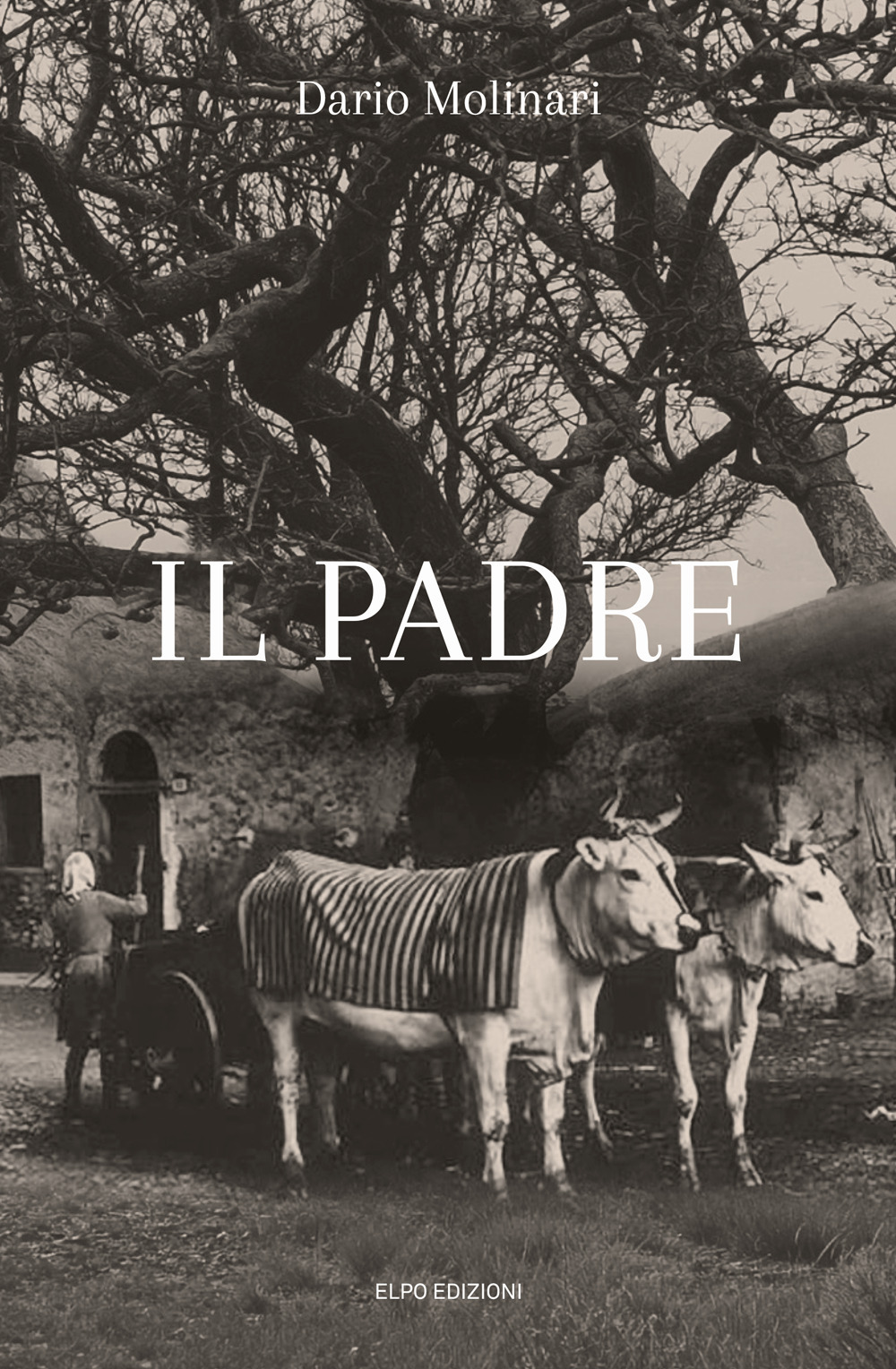 Il padre