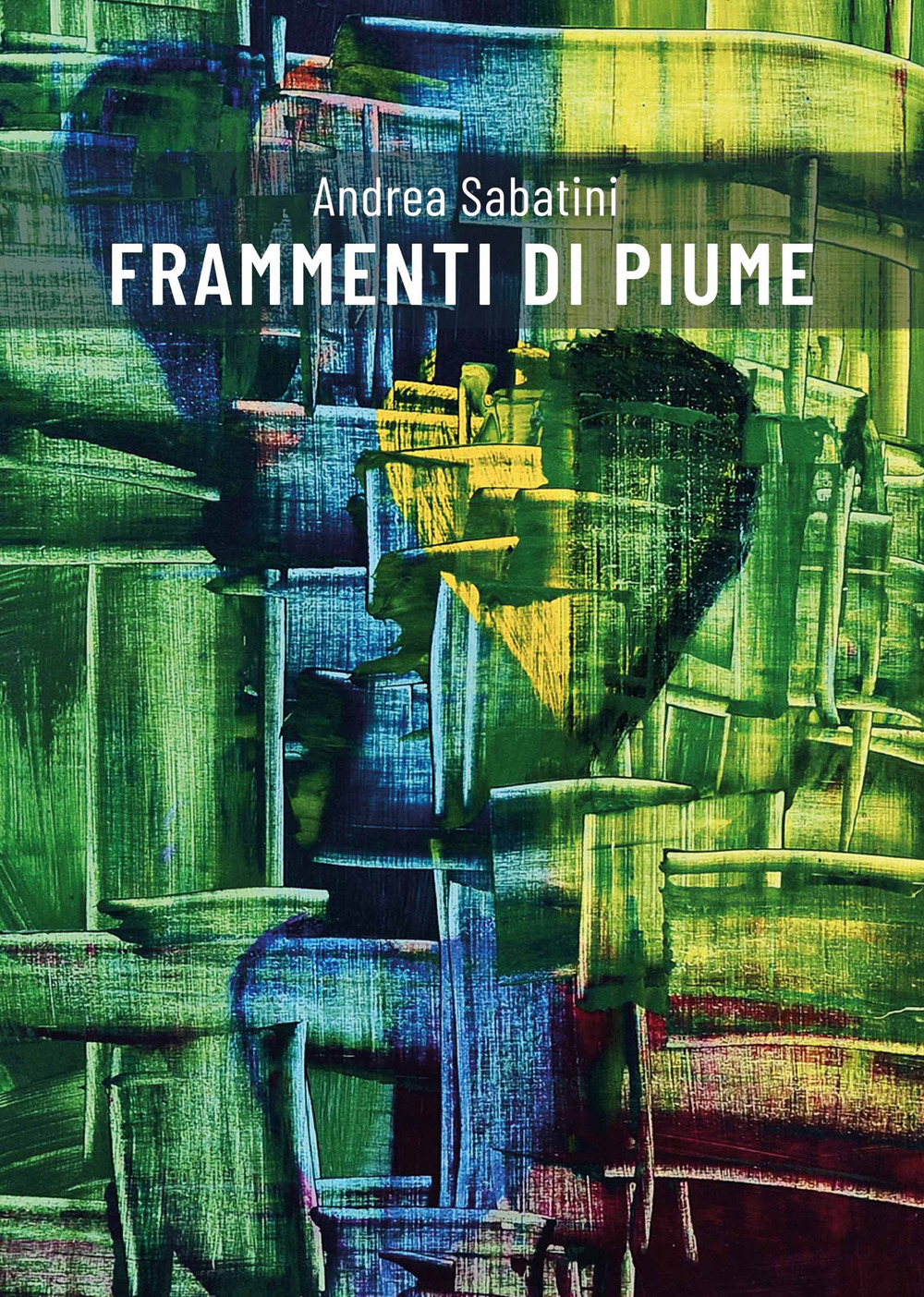 Frammenti di piume