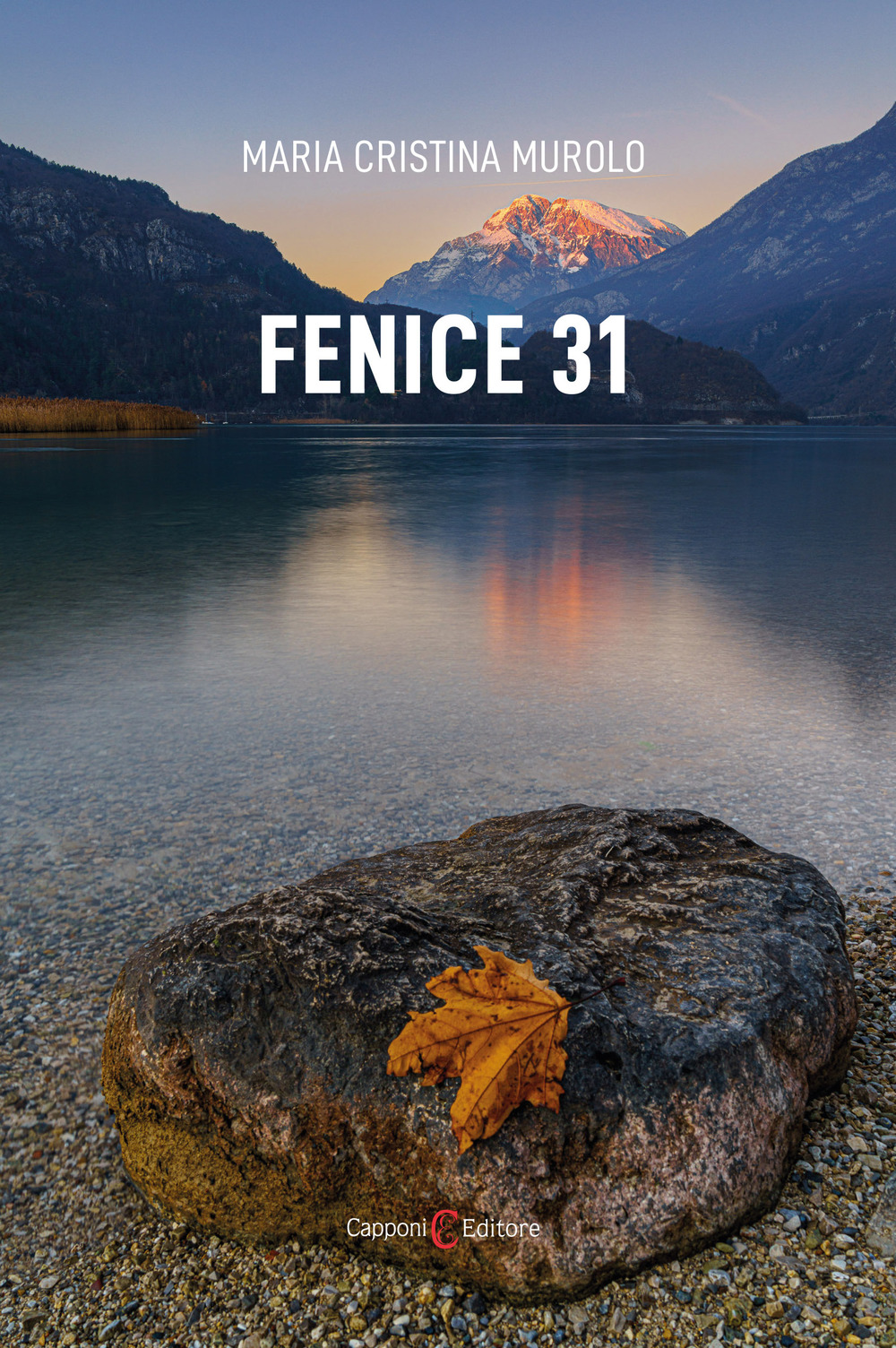 Fenice 31