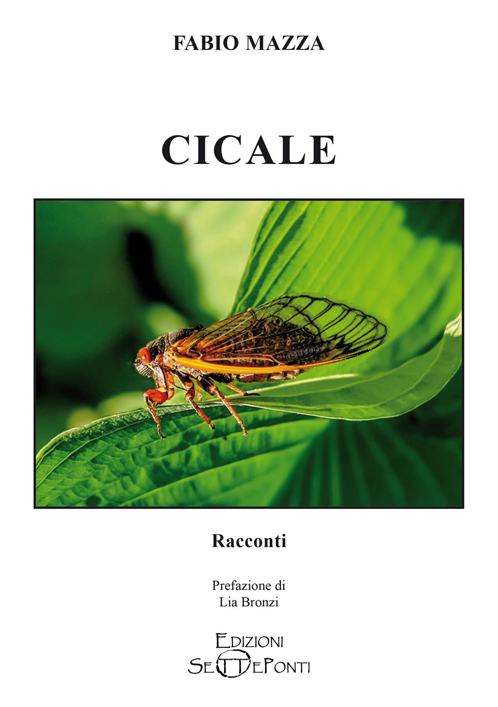 Cicale