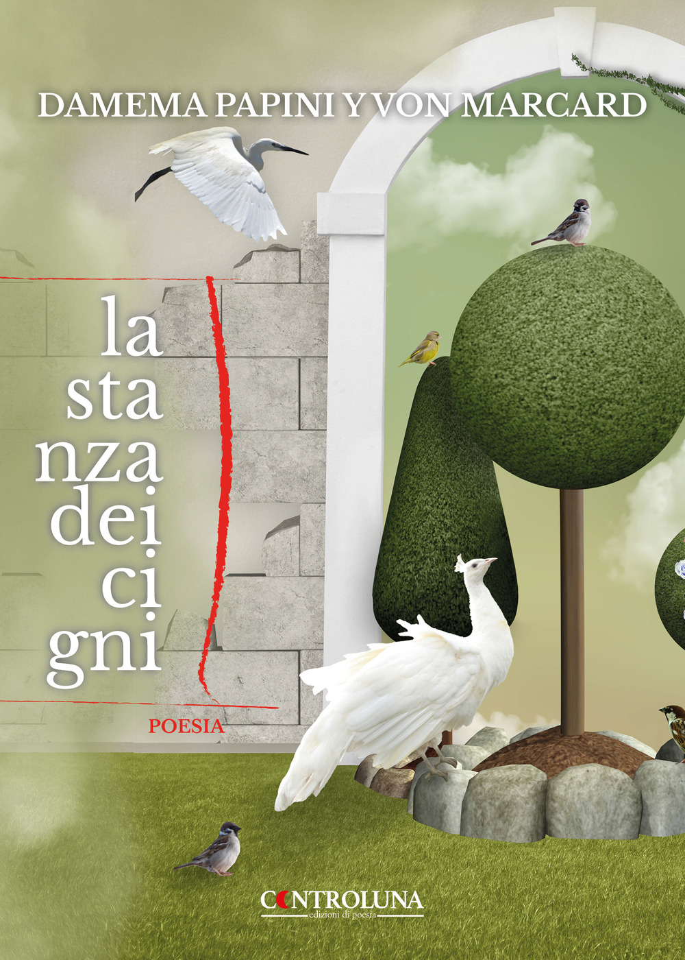 La stanza dei cigni