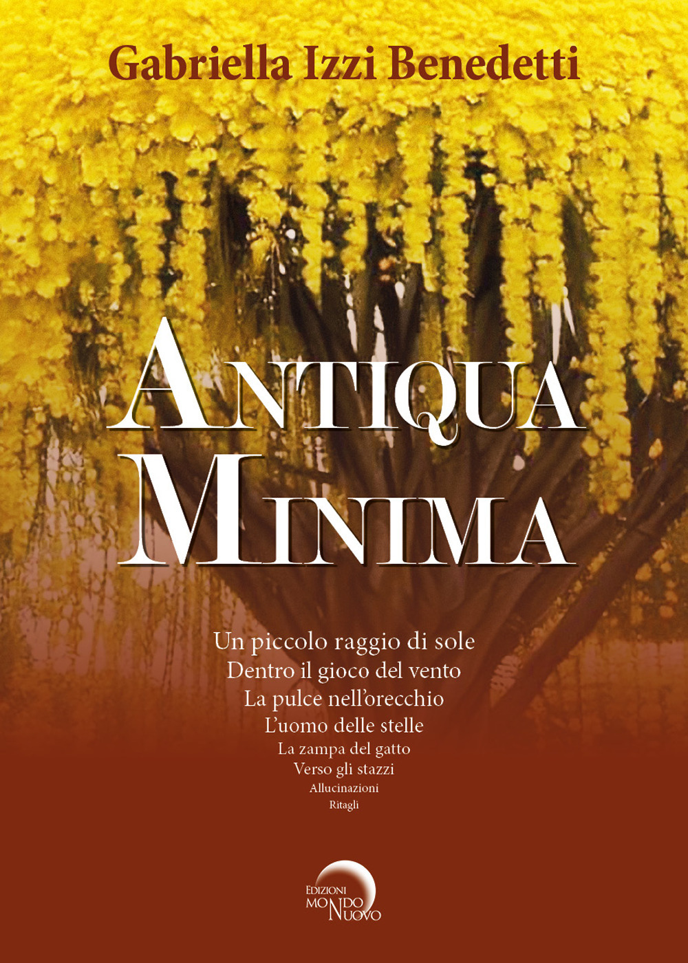 Antiqua minima