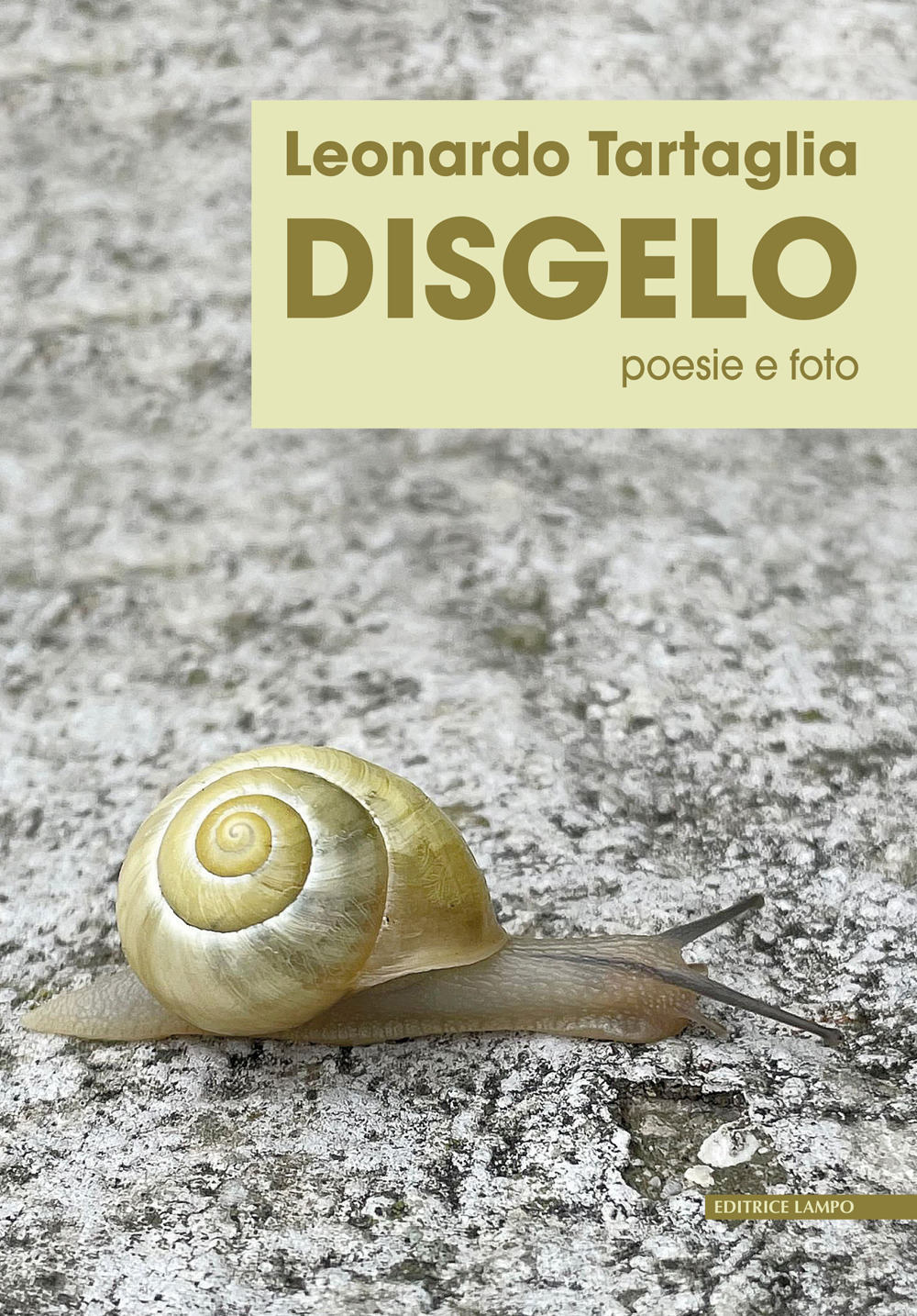 Disgelo. Poesie e foto