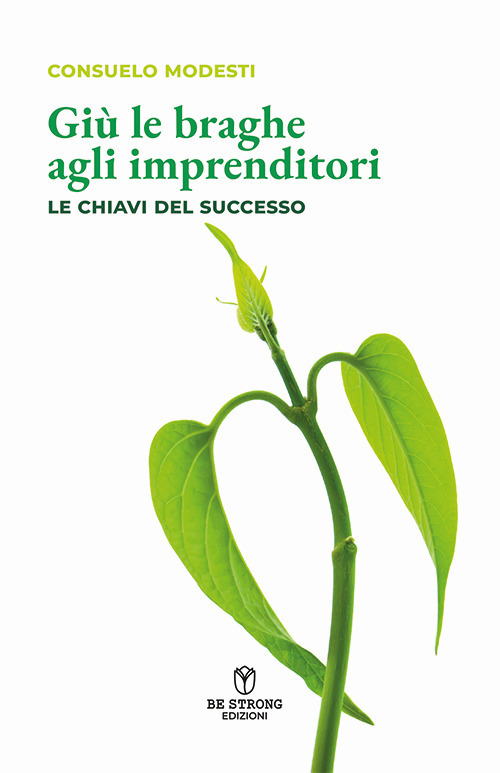 Giù le braghe agli imprenditori. Le chiavi del successo. Nuova ediz.