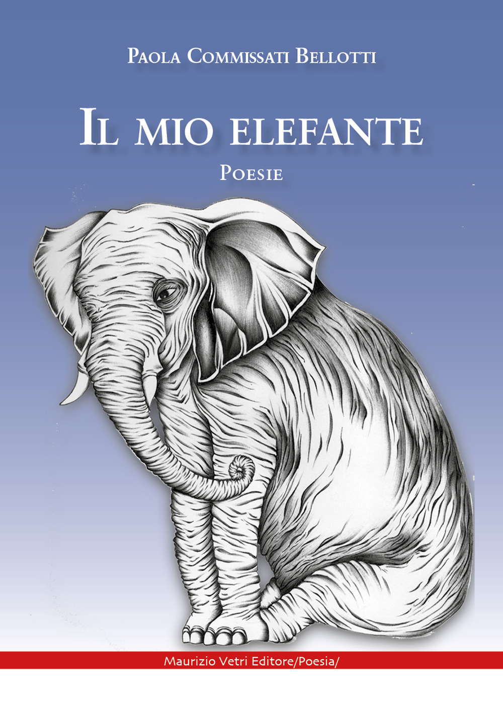 Il mio elefante