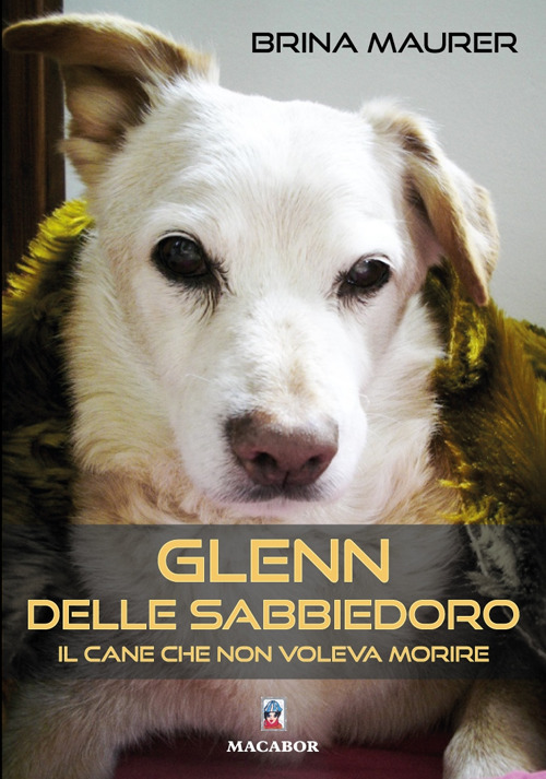 Glenn delle sabbiedoro. Il cane che non voleva morire