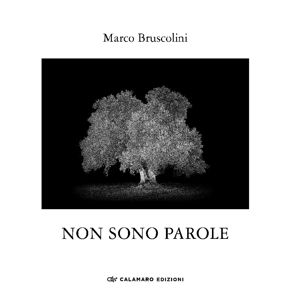 Non sono parole. Quasi un rifugio dall'ansia della xylella. Ediz. illustrata