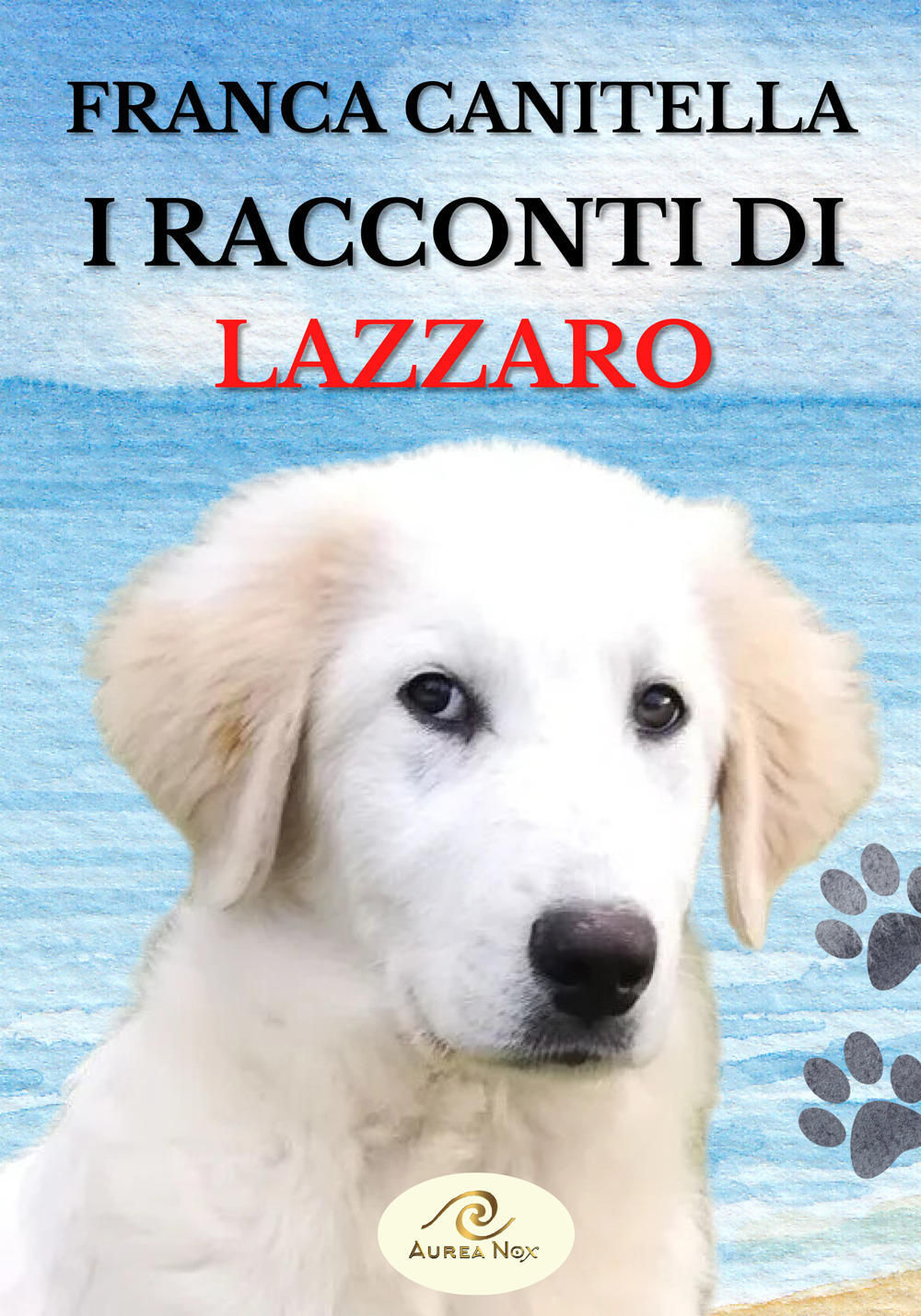 I racconti di Lazzaro